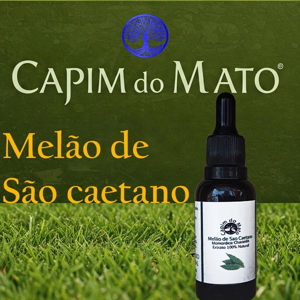 Extrato de Melão de São Caetano - Detox em gotas