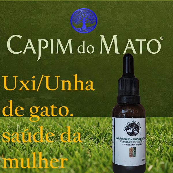 SAÚDE DA MULHER - UXI AMARELO COM UNHA DE GATO